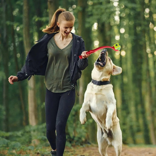 Balle à lancer à la main pour chien