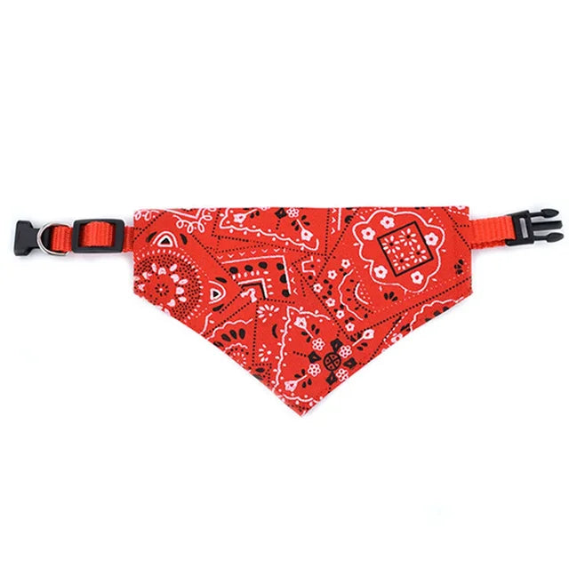 Bandana Chien à motif