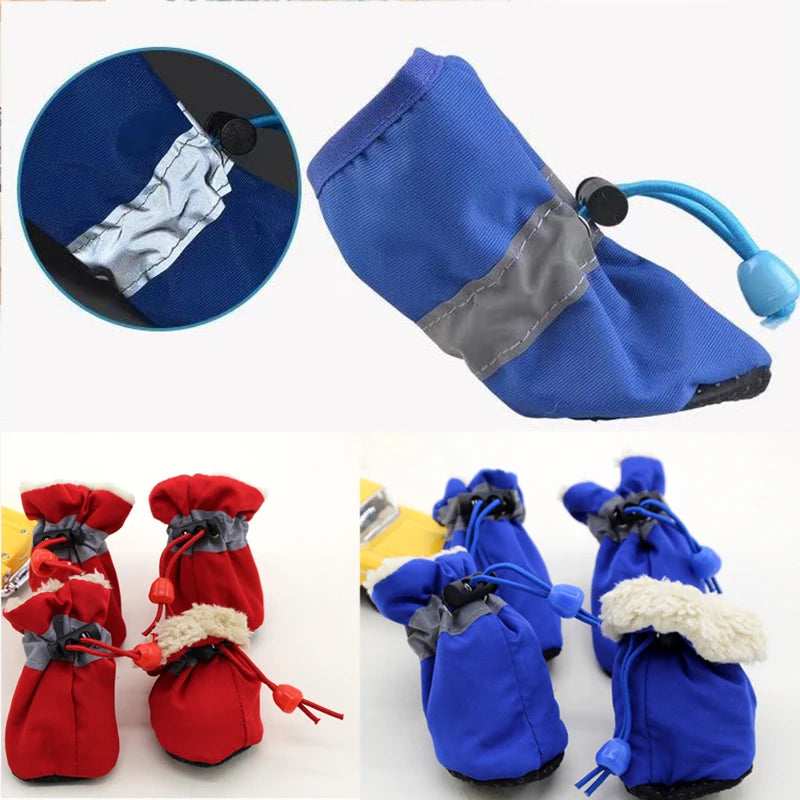 Bottes de neige pour Petit Chien