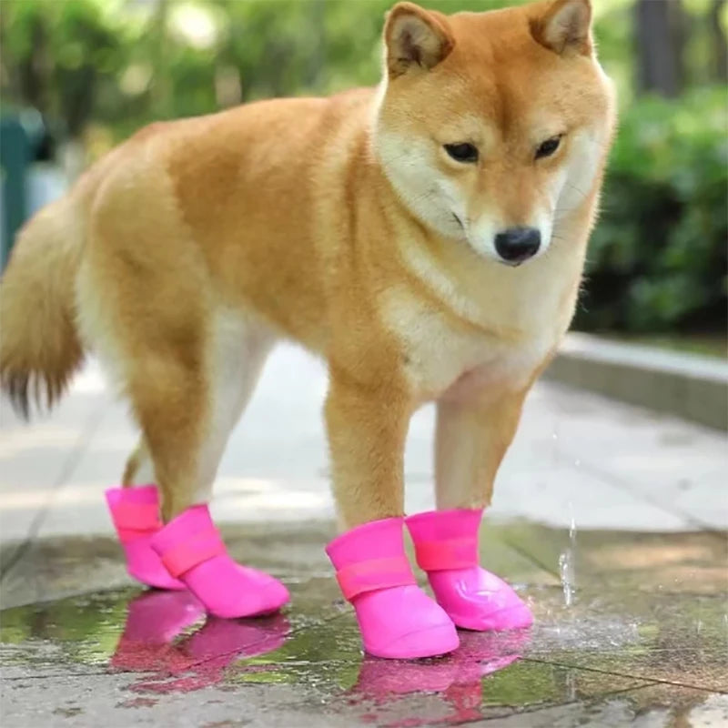 Bottes impermables pour Petit Chien en caoutchouc