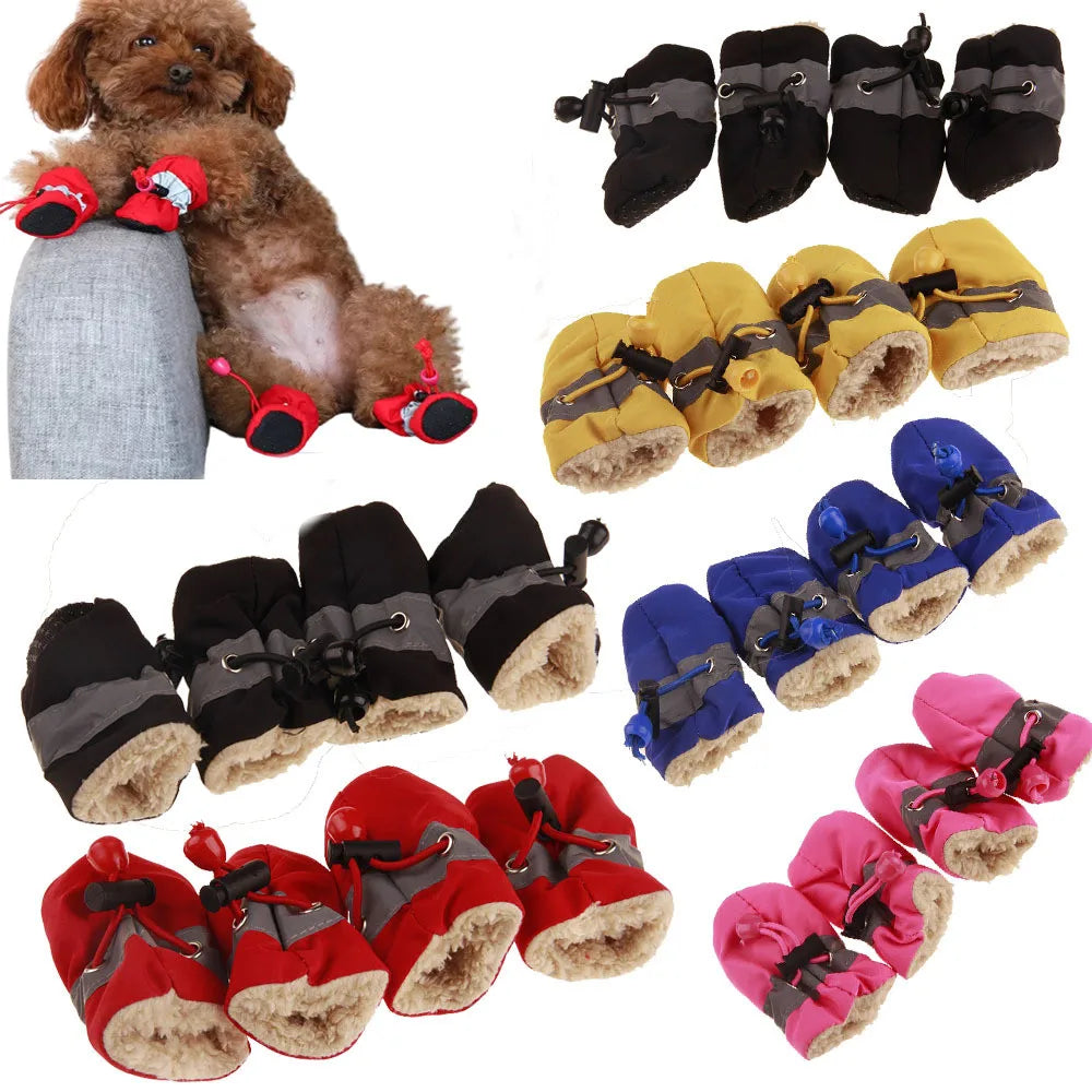 Bottes impermables pour Petit Chien