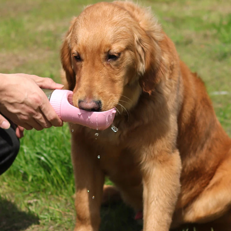 Bouteille d'eau portable pour chien