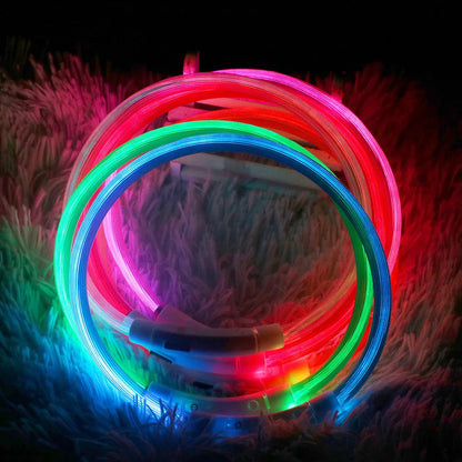 Collier Led Anneaux pour Chien