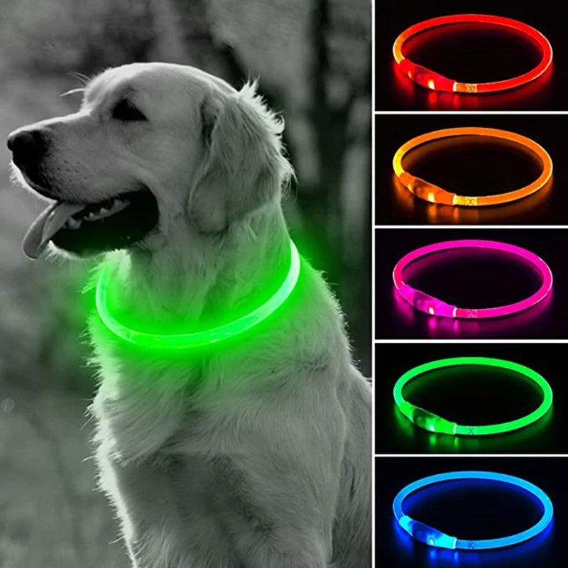 Collier Led Anneaux pour Chien