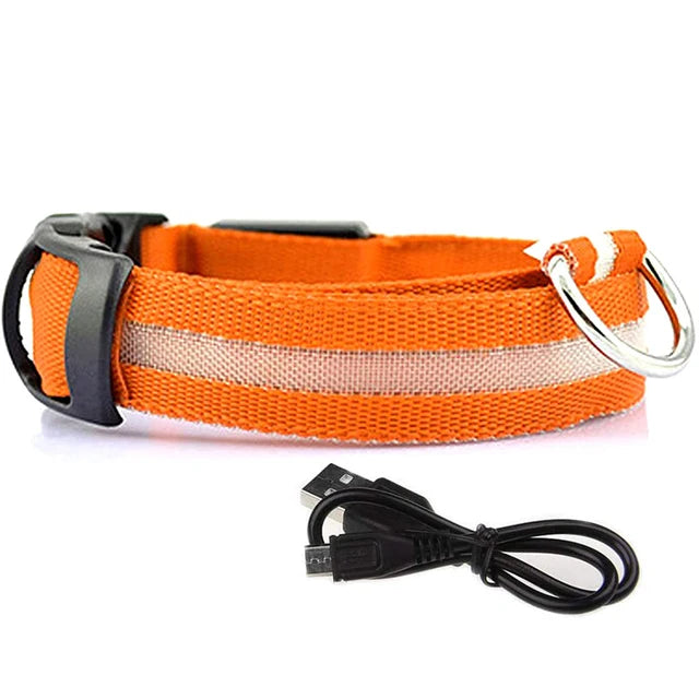 Collier Lumineux Chien en Tissu