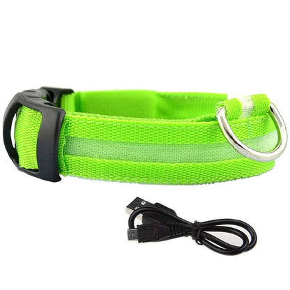 Collier Lumineux Chien en Tissu