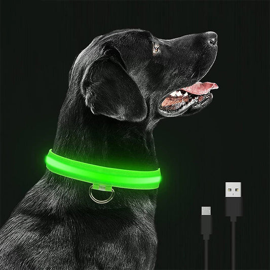 Collier Lumineux Chien en Tissu