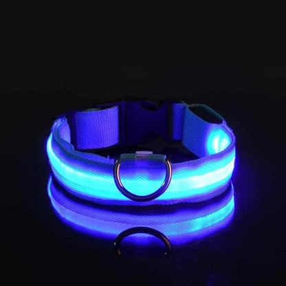 Collier Lumineux pour Chien à Led