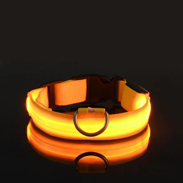 Collier Lumineux pour Chien à Led