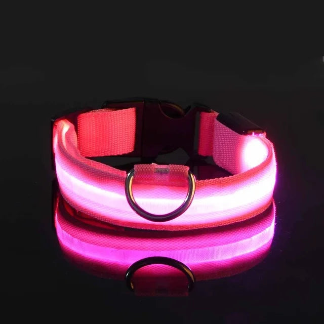 Collier Lumineux pour Chien à Led