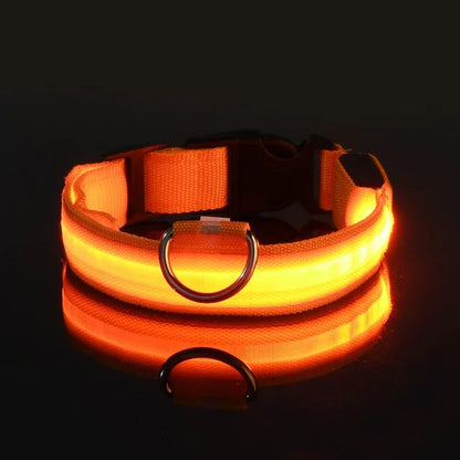 Collier Lumineux pour Chien à Led