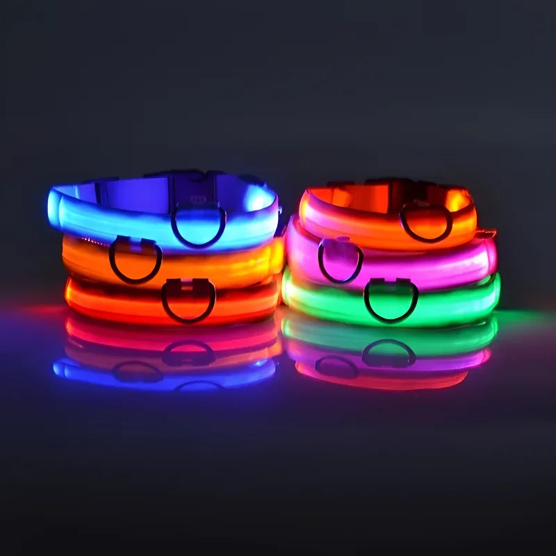 Collier Lumineux pour Chien à Led