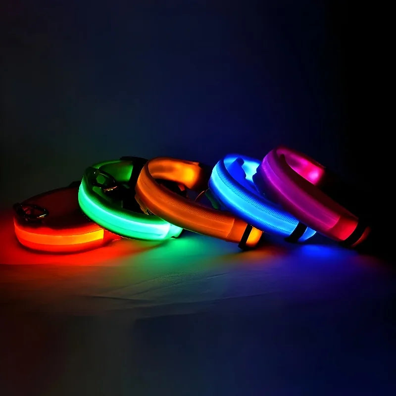 Collier Lumineux pour Chien à Led