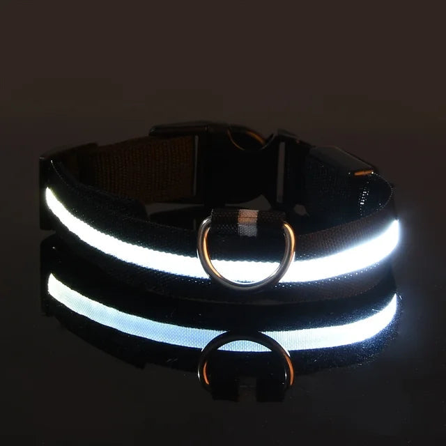 Collier Lumineux pour Chien à Led