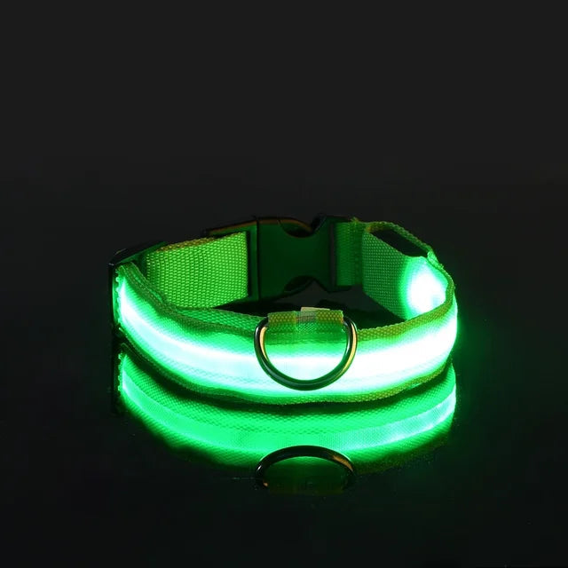 Collier Lumineux pour Chien à Led