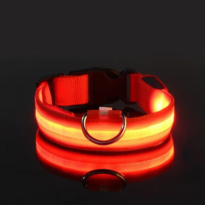 Collier Lumineux pour Chien à Led