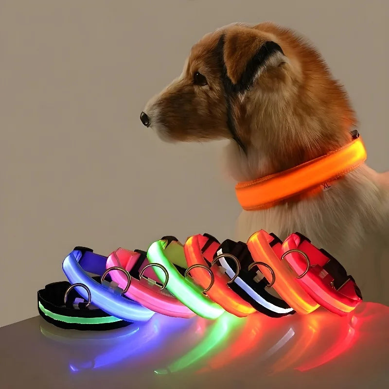 Collier Lumineux pour Chien à Led