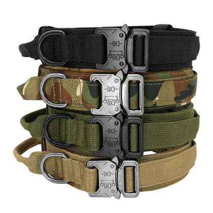 Collier Tactique Militaire pour Chien