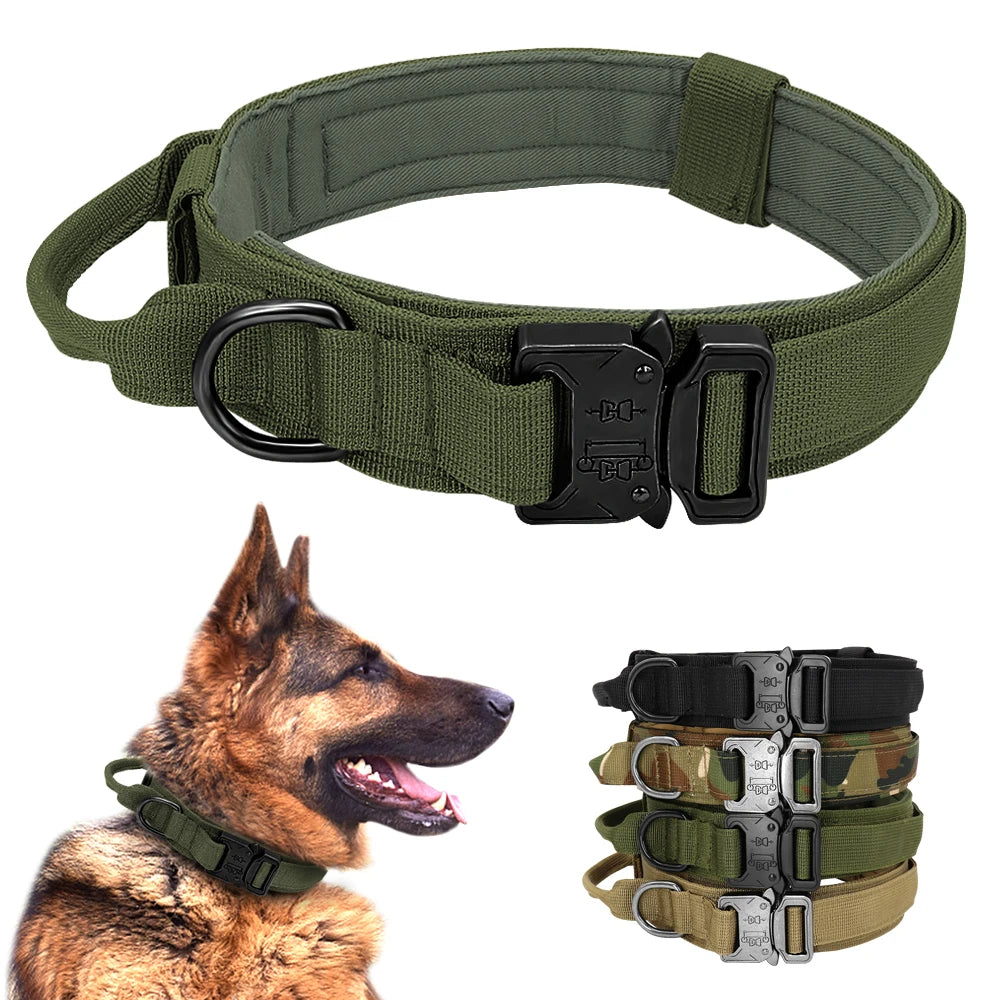 Collier Tactique Militaire pour Chien