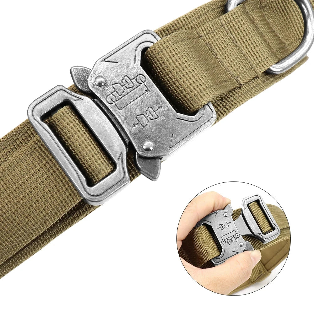 Collier Tactique Militaire pour Chien