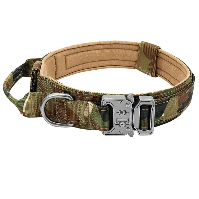 Collier Tactique Militaire pour Chien