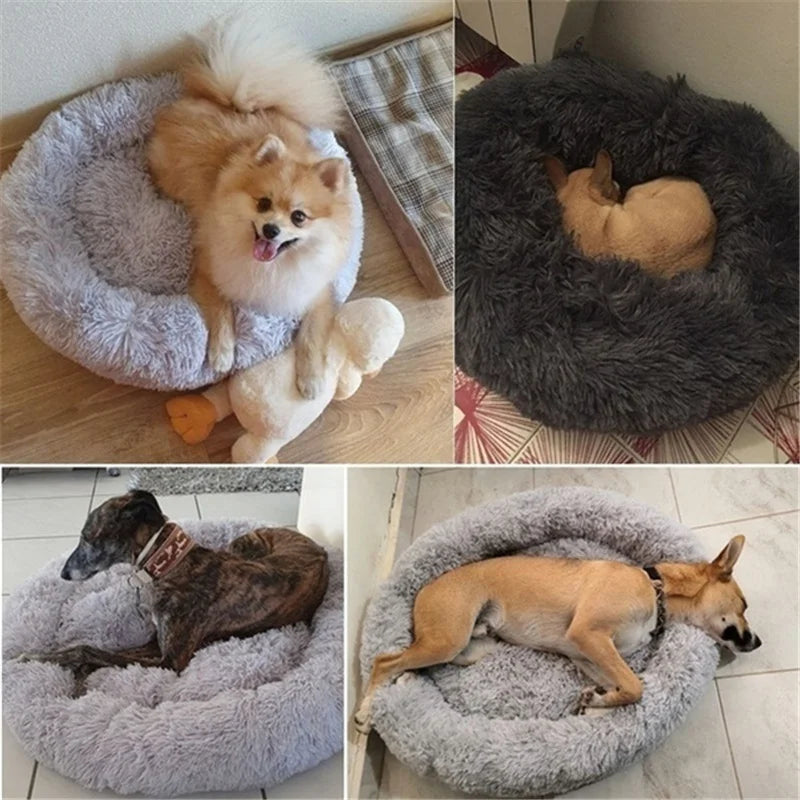 Coussin Rond pour Chien XXL