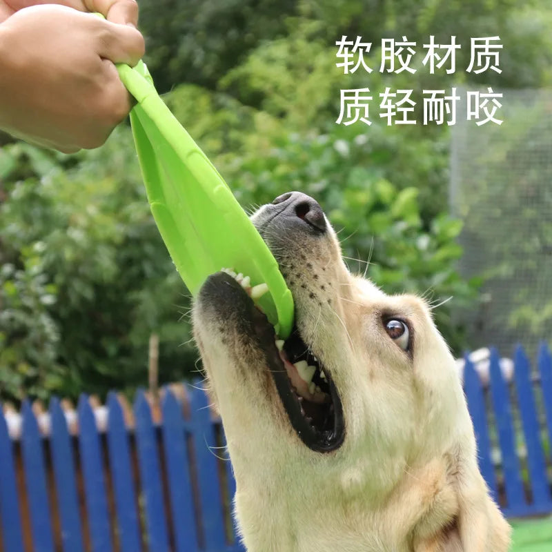 Frisbee pour Chien Disque volant