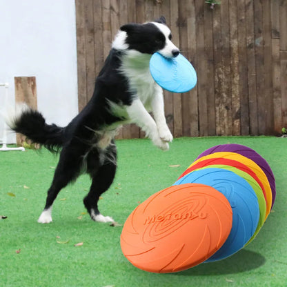 Frisbee pour Chien Disque volant