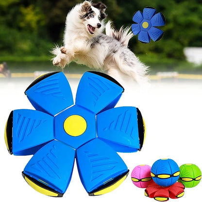 Frisbee pour Chien Soucoupe Volante