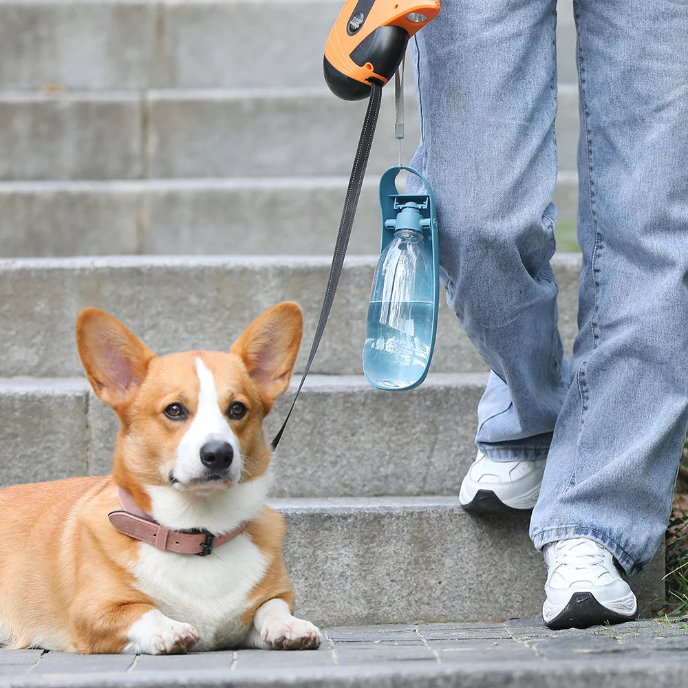 Gourde Bouteille pour Chien