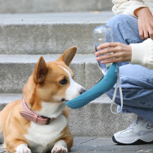 Gourde Bouteille pour Chien