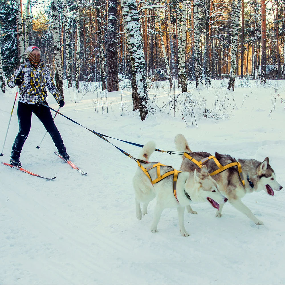 Harnais Chien Canicross : activités de Traction