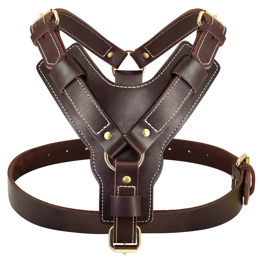 Harnais Chien Cuir Réglable pour Grand Chien