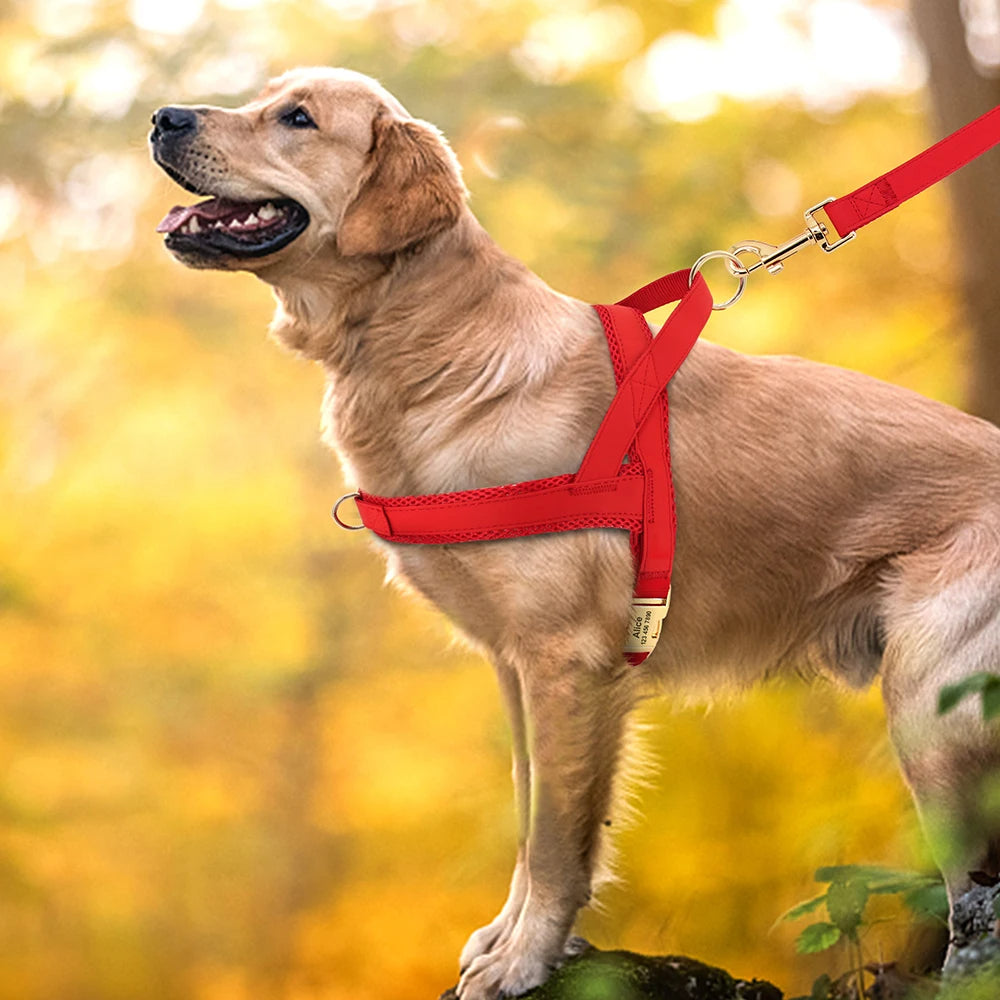 Harnais Chien Cuir Respirant et Anti-Traction