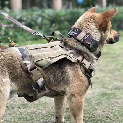 Harnais Chien Tactique Militaire