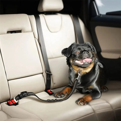 Harnais Chien Voiture Extensible Noir