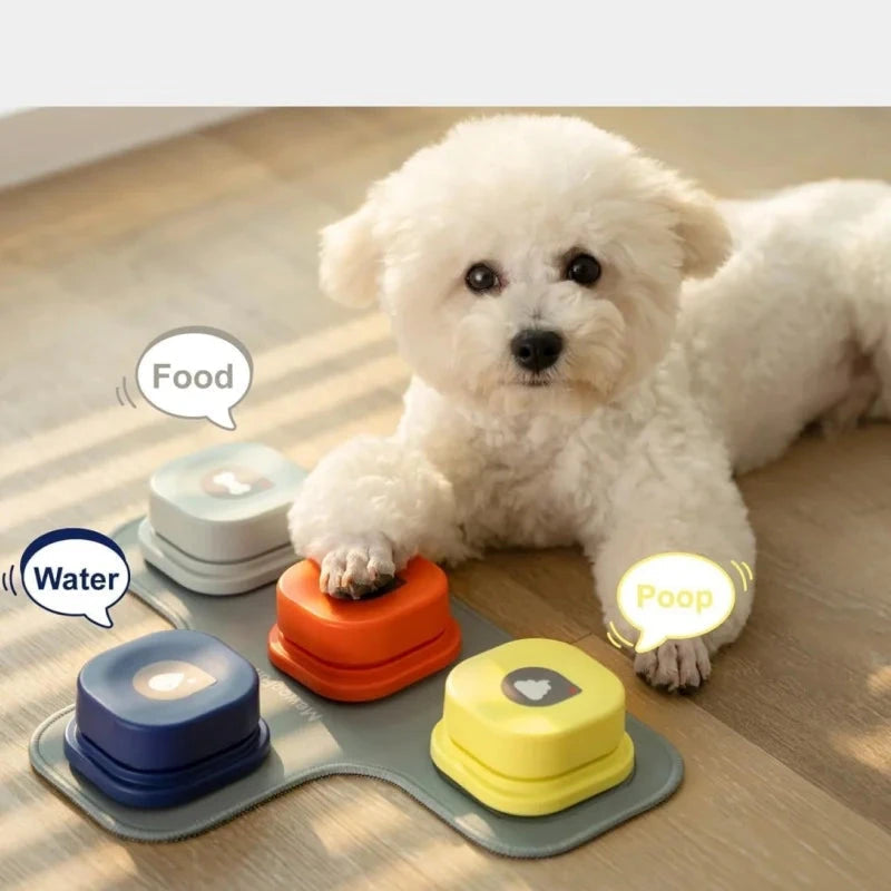 Jeux interactif pour Chien