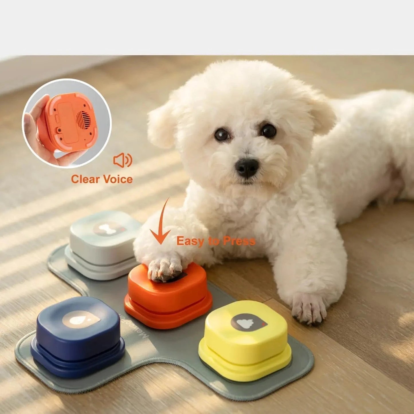 Jeux interactif pour Chien