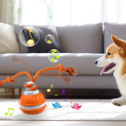 Jouet Balle Interactif pour Chien