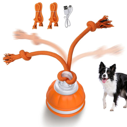 Jouet Balle Interactif pour Chien