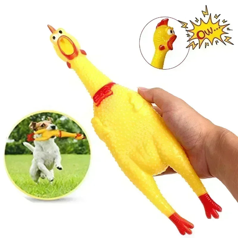 Jouet Couineur Poulet pour Chien