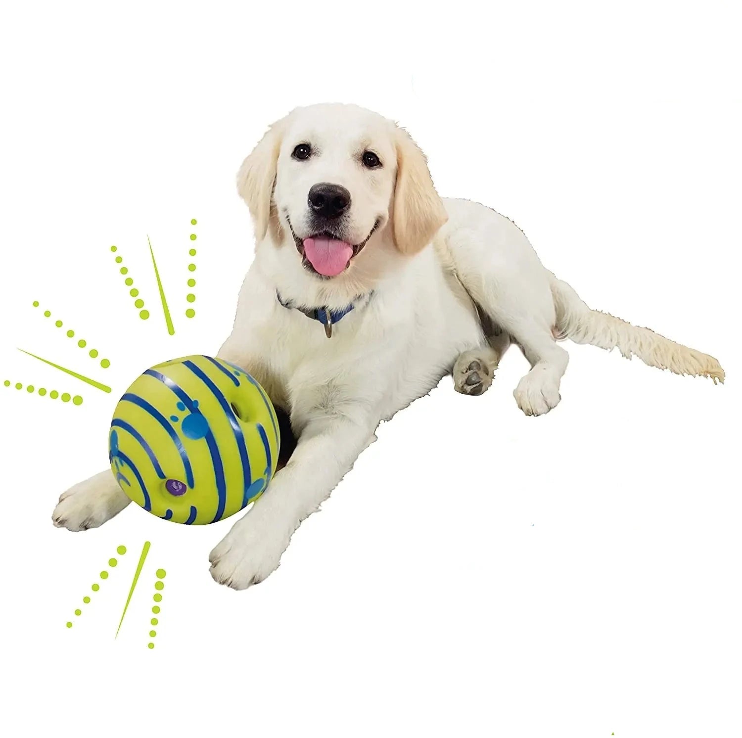 Jouet Interactif Balle sonore pour Chien