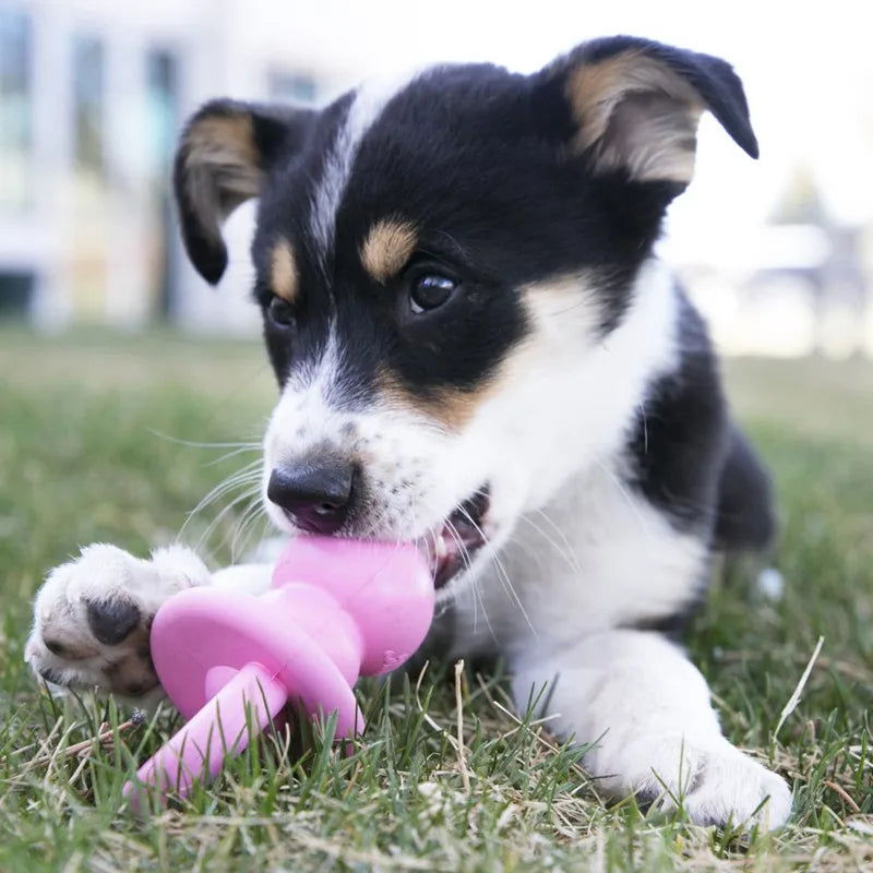 Jouet Kong Chien forme Tétine