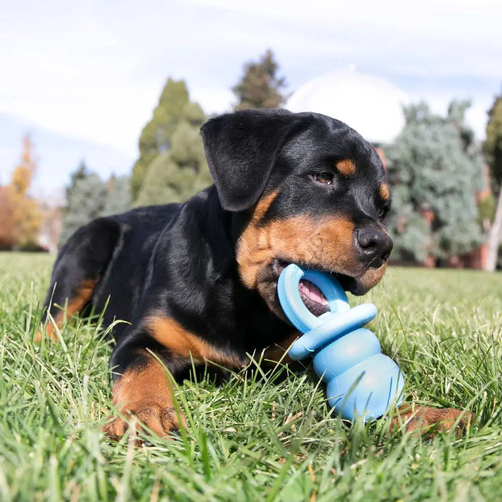 Jouet Kong Chien forme Tétine