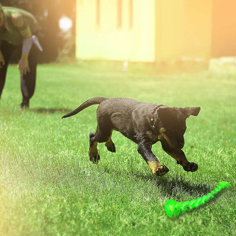 Jouet à Mâcher en Caoutchou pour Chien