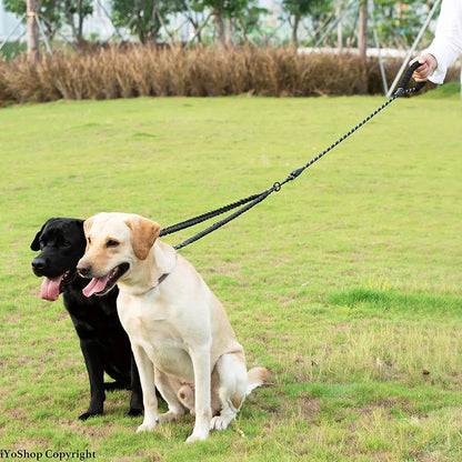 Laisse Double pour Chien Extensible