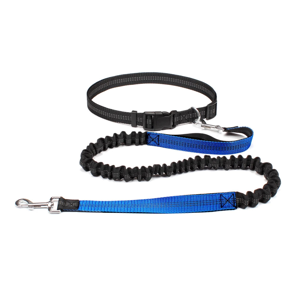 Laisse Main Libre Extensible pour Chien