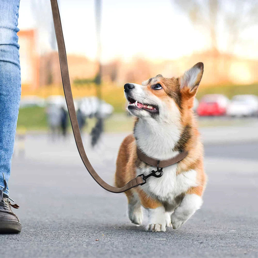 Laisse en simili-cuir pour chien