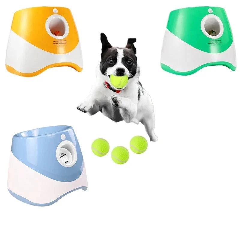 Lanceur de balle automatique pour Chien