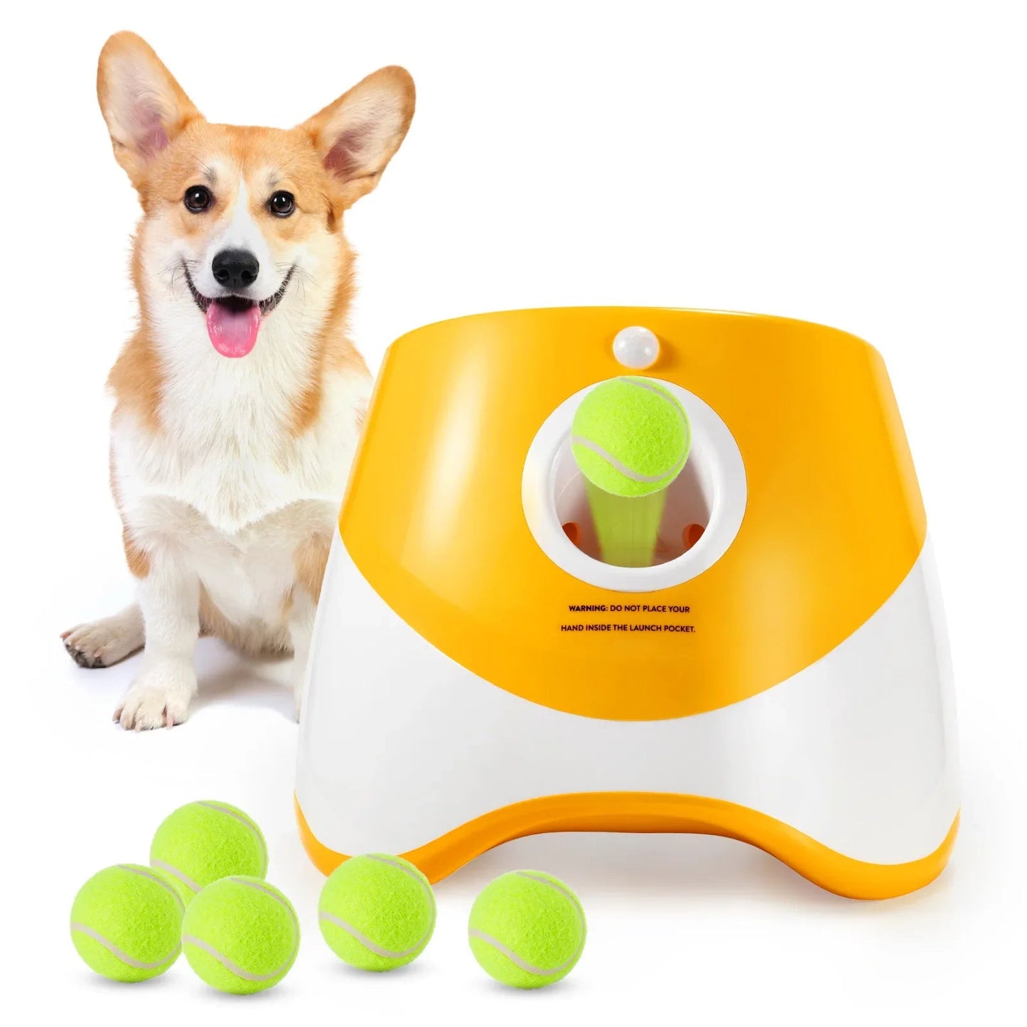 Lanceur de balle automatique pour Chien